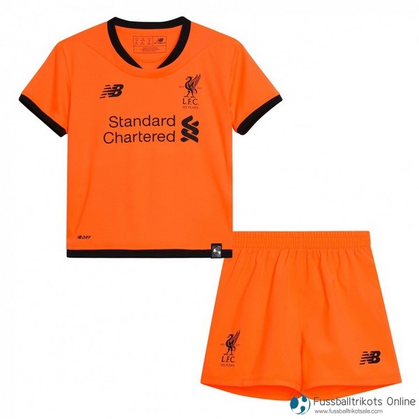 Liverpool Trikot Kinder Ausweich 2017-18 Fussballtrikots Günstig